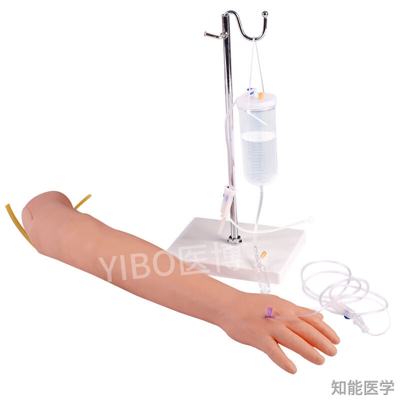静脉注射模型