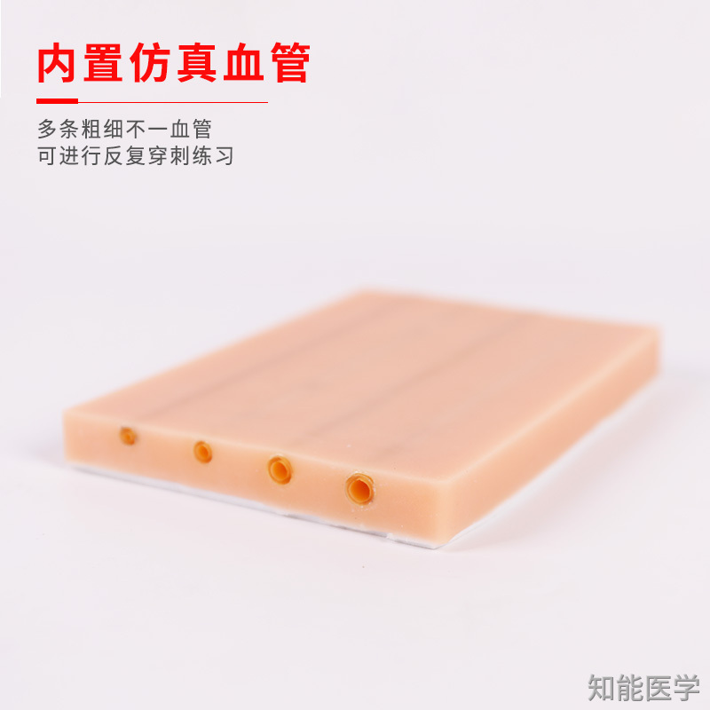 静脉穿刺模型