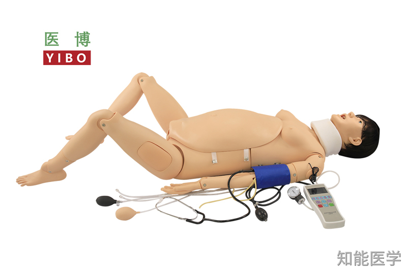 分娩与母子急救模拟人
