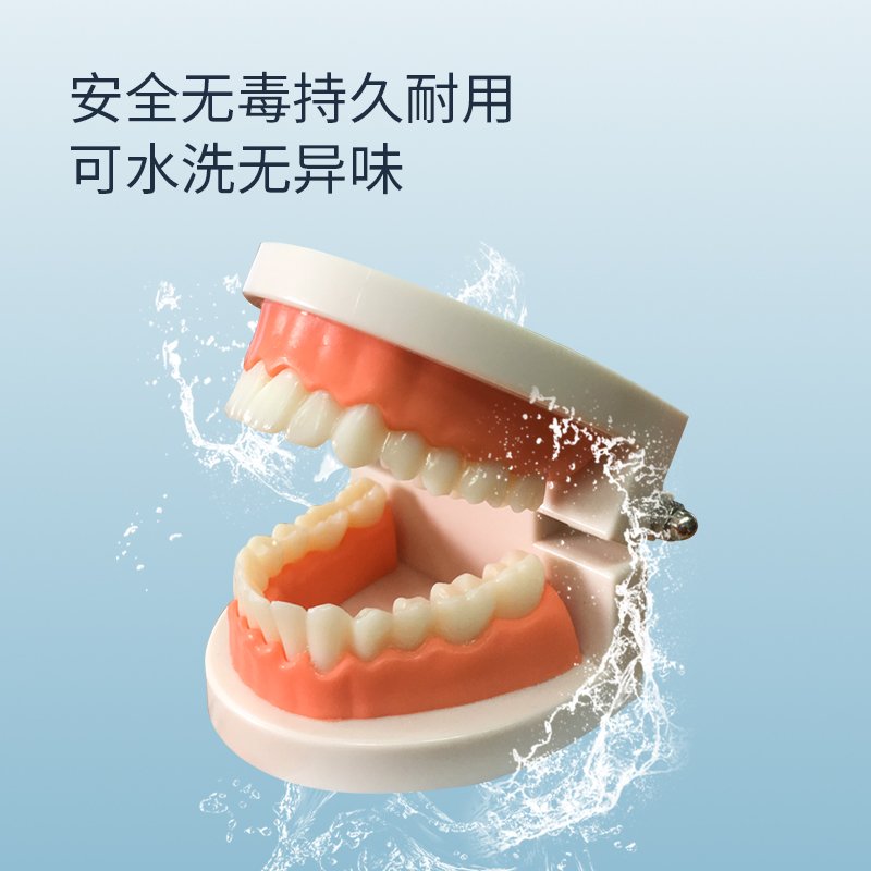 口腔护理模型（BIX-HY）