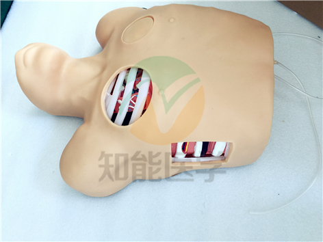 胸腔穿刺引流模型